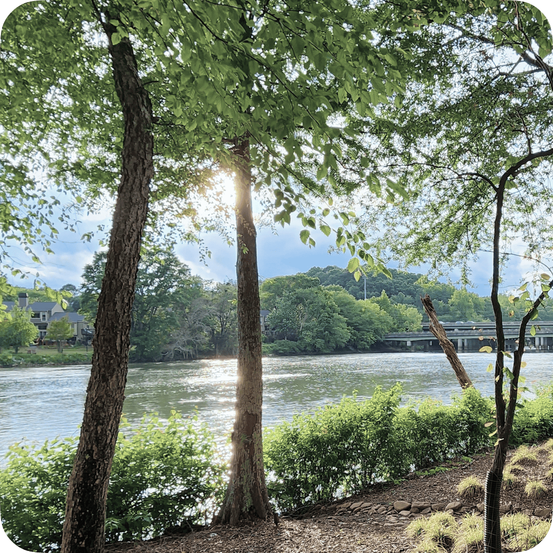 View of Chattahoochee River